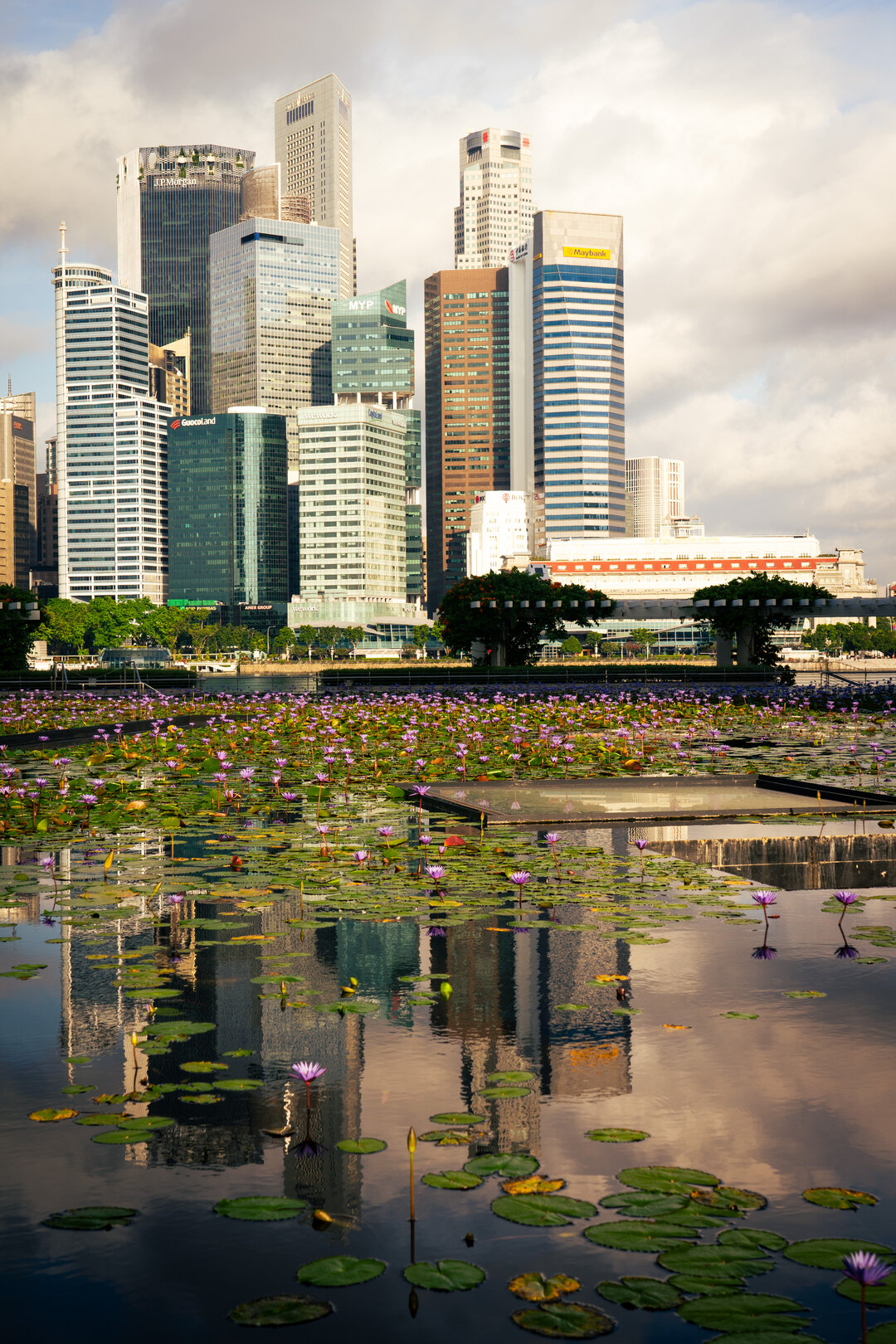 singapore skyscapers