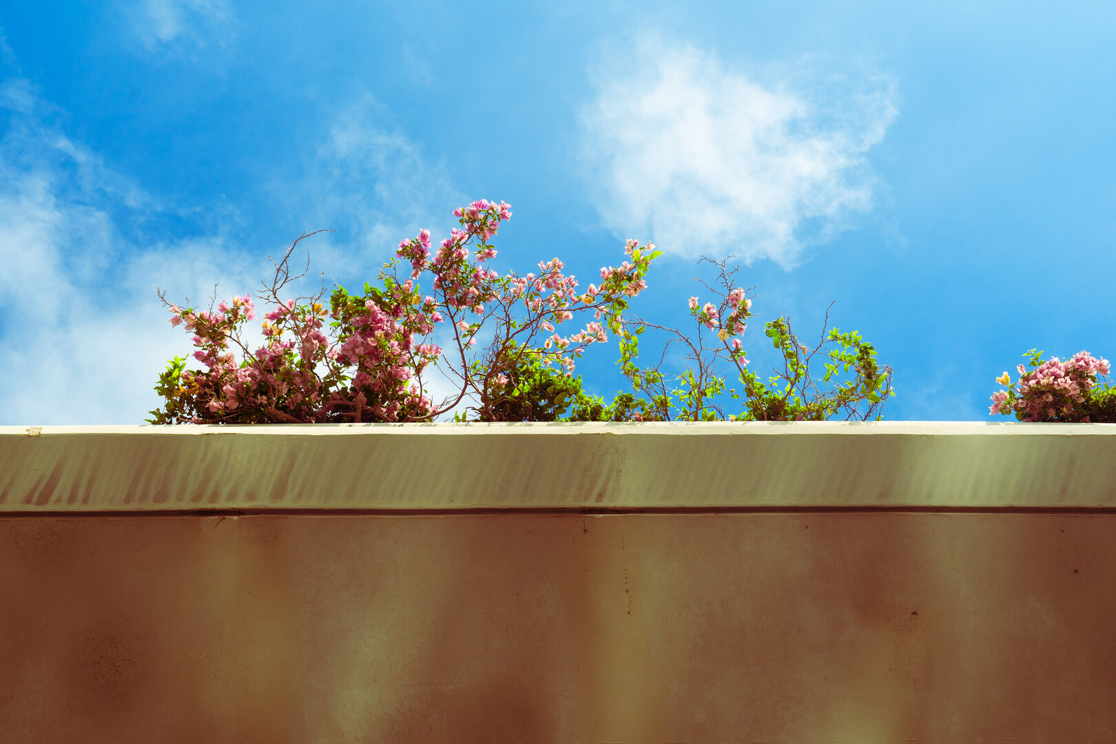bridge flowers