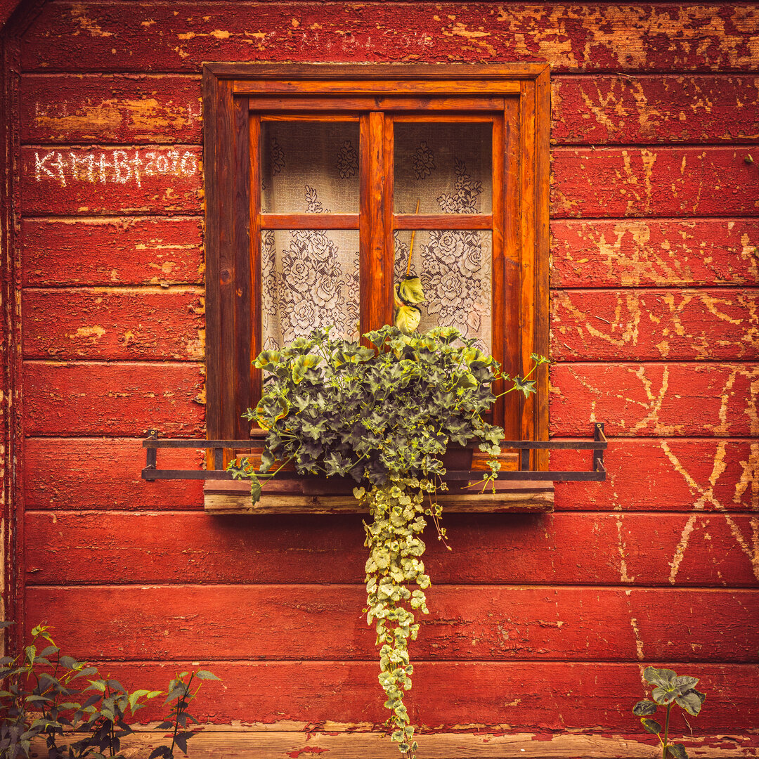 window