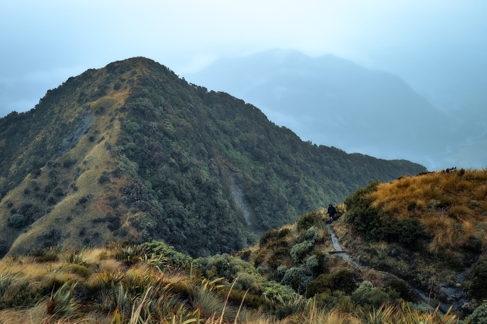 alex knob mountain path