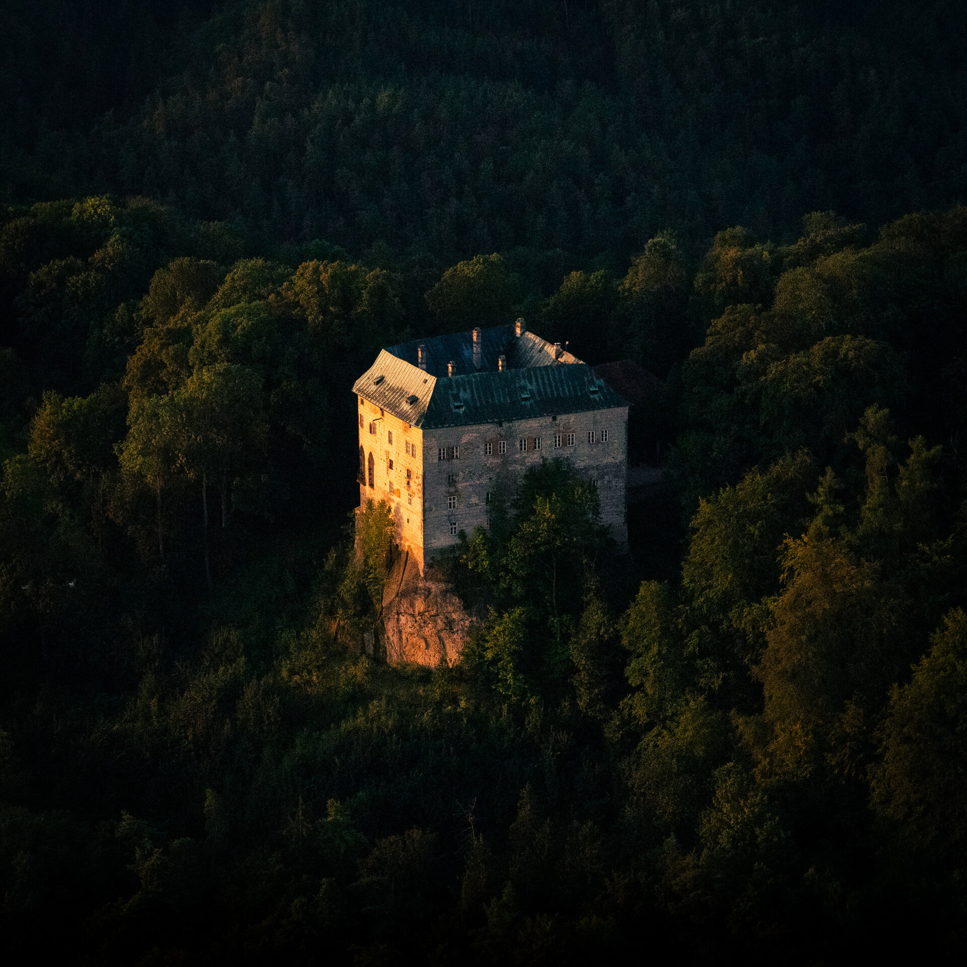 chateau in forest
