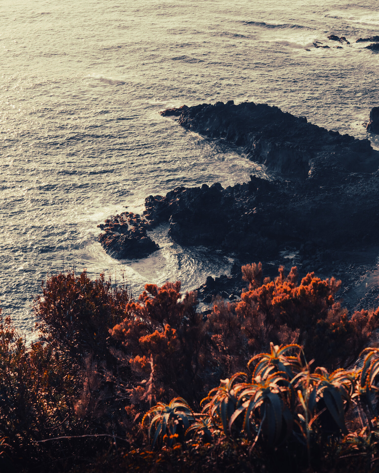 lava rocks - azores
