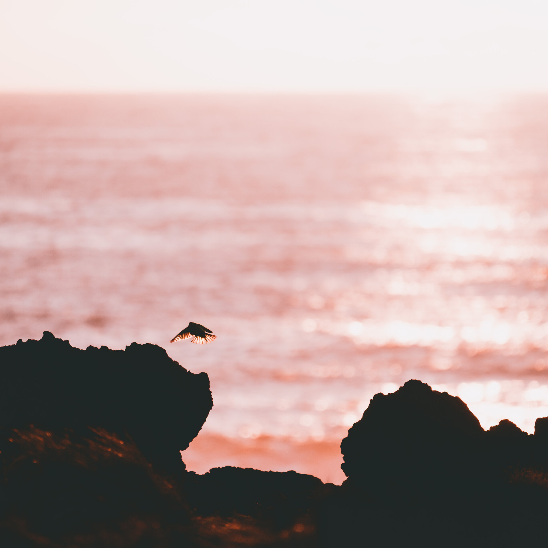 sunset - azores