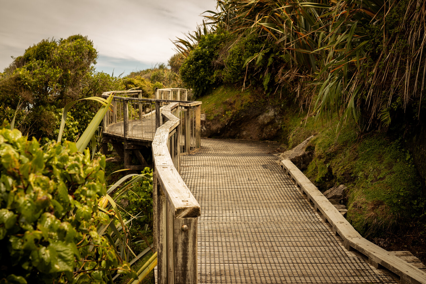 wooden path